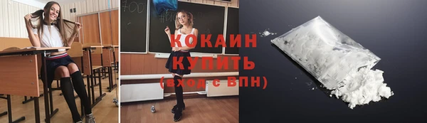 кокс Елизово