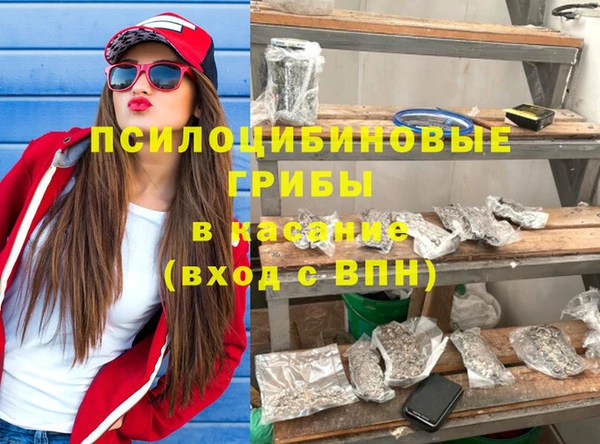 кокс Елизово