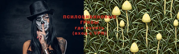 кокс Елизово
