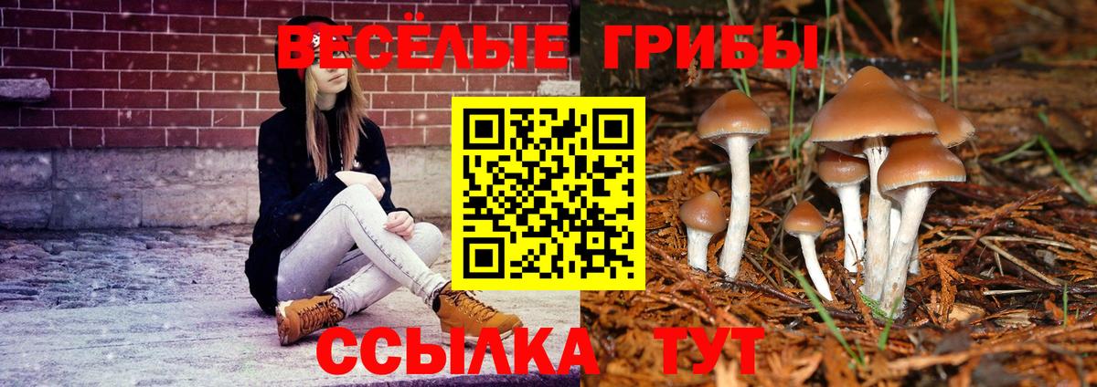 Галлюциногенные грибы MAGIC MUSHROOMS  Вход с VPN  Кулебаки 